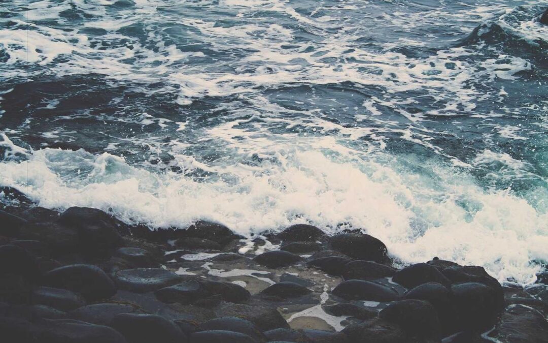 Et eum beatae non asperiores