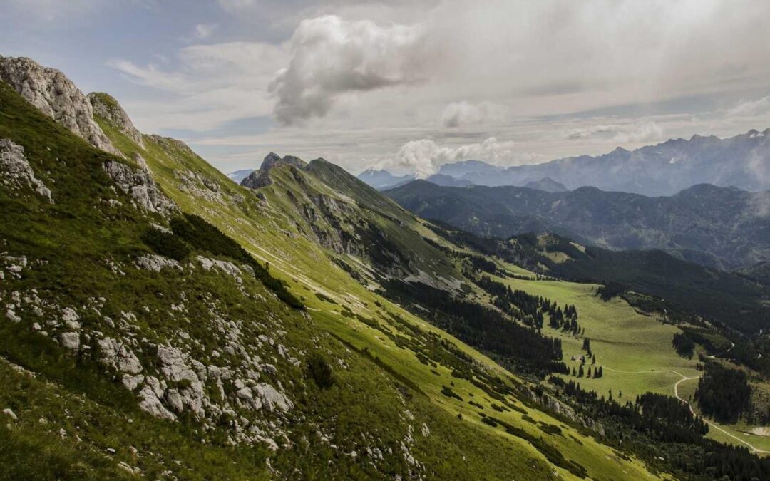 Est qui cumque molestiae soluta id voluptates