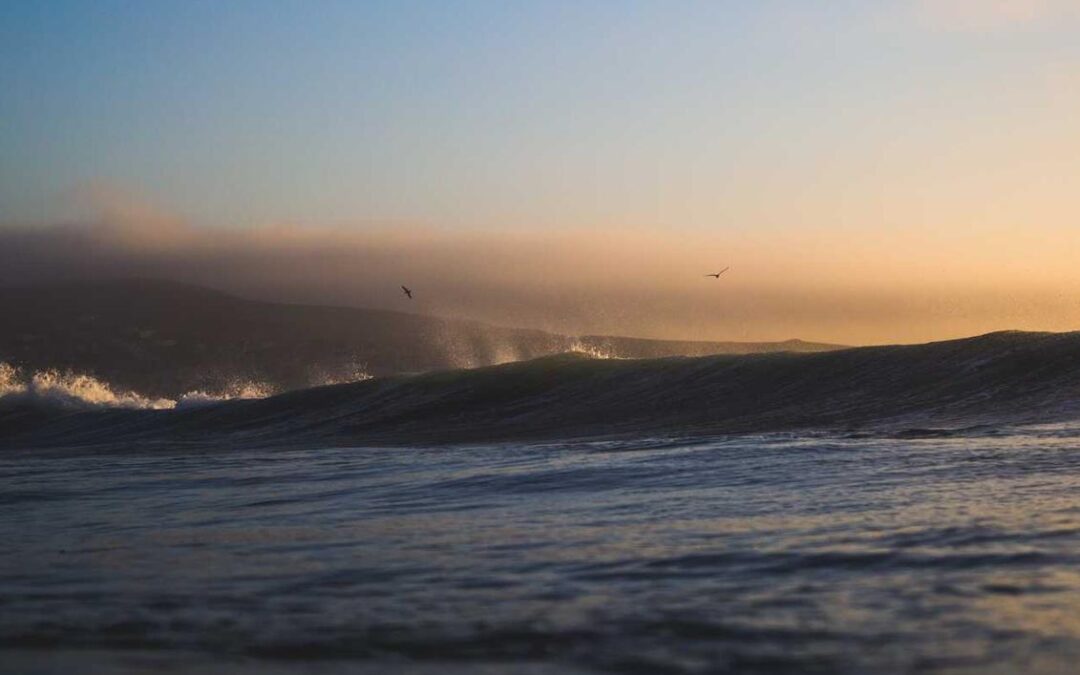 Et rerum laboriosam quas dicta